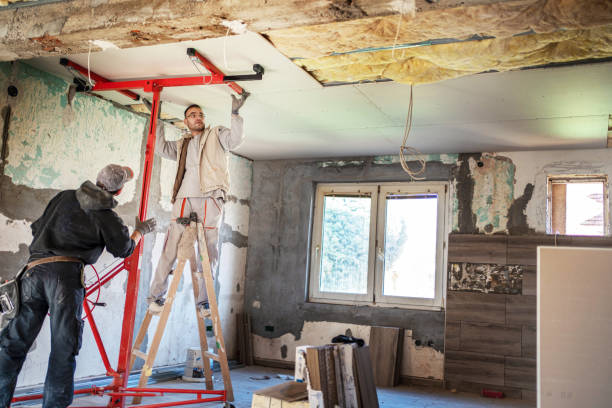 Trusted Eustis, FL Insulation Contractor Experts