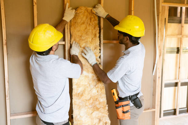 Best Energy-efficient Insulation  in Eustis, FL